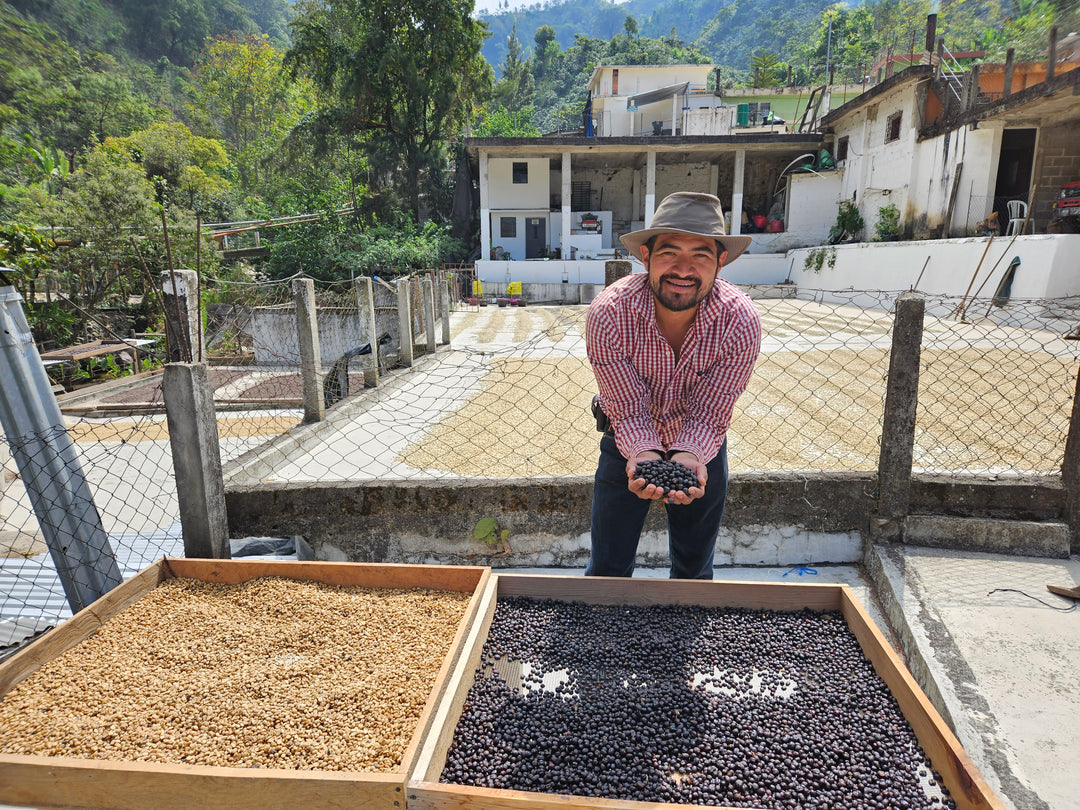 Guatemala Villaure Primos Unidos – Sisters Coffee Company