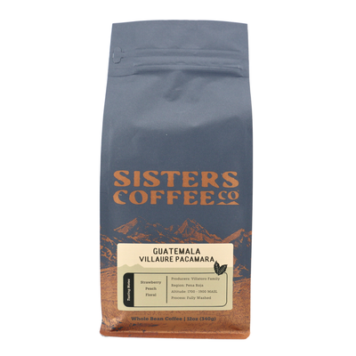 Guatemala Villaure Pacamara Washed