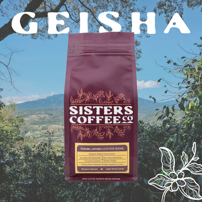 Geisha Cupping, Brew Demo + Roastery Tour | Friday Nov. 28th
