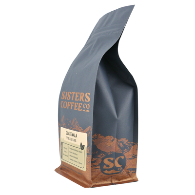 Guatemala Villaure Pacamara Washed